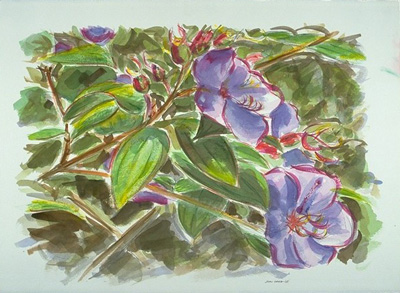 John Haag