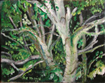 Patricia Mednick