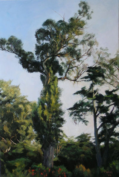 Patty Neal