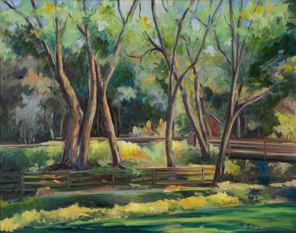 Summer Trees<br />in Marin