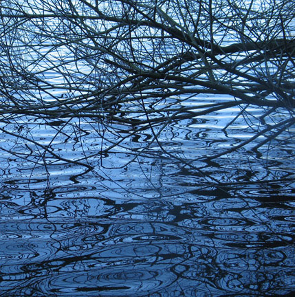 Tangle #1