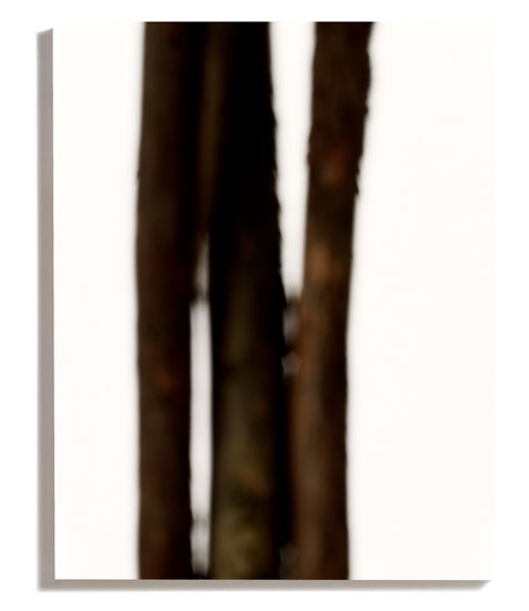 Vertical No. 7 (Study)