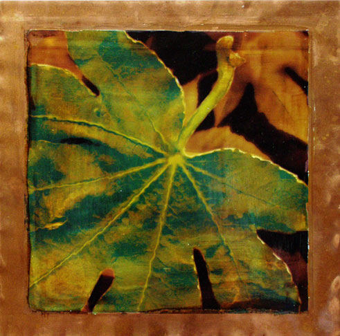 Big Jungle Leaf
