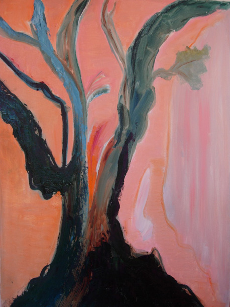 Plane Tree