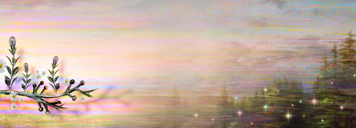 The Magically Disappearing Landscape<br /><em>Germinations: Study 1</em>