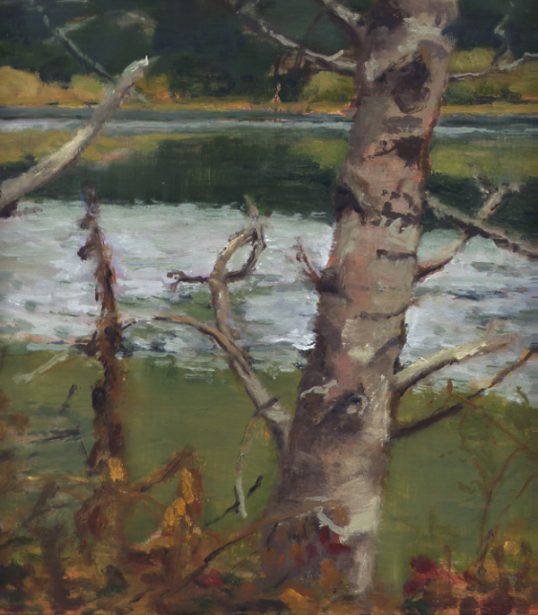 Bolinas Lagoon